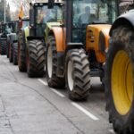 La crisis silenciosa de la agricultura estadounidense: cómo el mercado volátil y el recorte federal están poniendo en peligro la seguridad alimentaria mundial