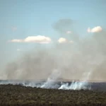 Los incendios en la Amazonía brasileña cayeron en 2025 a su menor nivel en 28 años